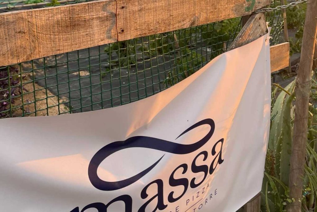 entrada de nuestro huerto ubicado en Alhaurín de la Torre, Málaga